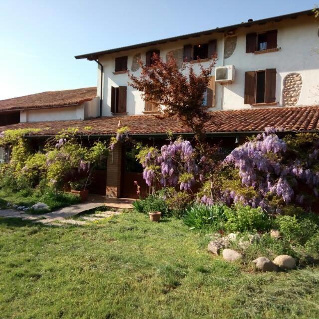 Agriturismo La Pace Villa Valeggio sul Mincio Kültér fotó