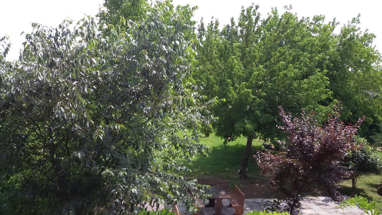 Agriturismo La Pace Villa Valeggio sul Mincio Kültér fotó