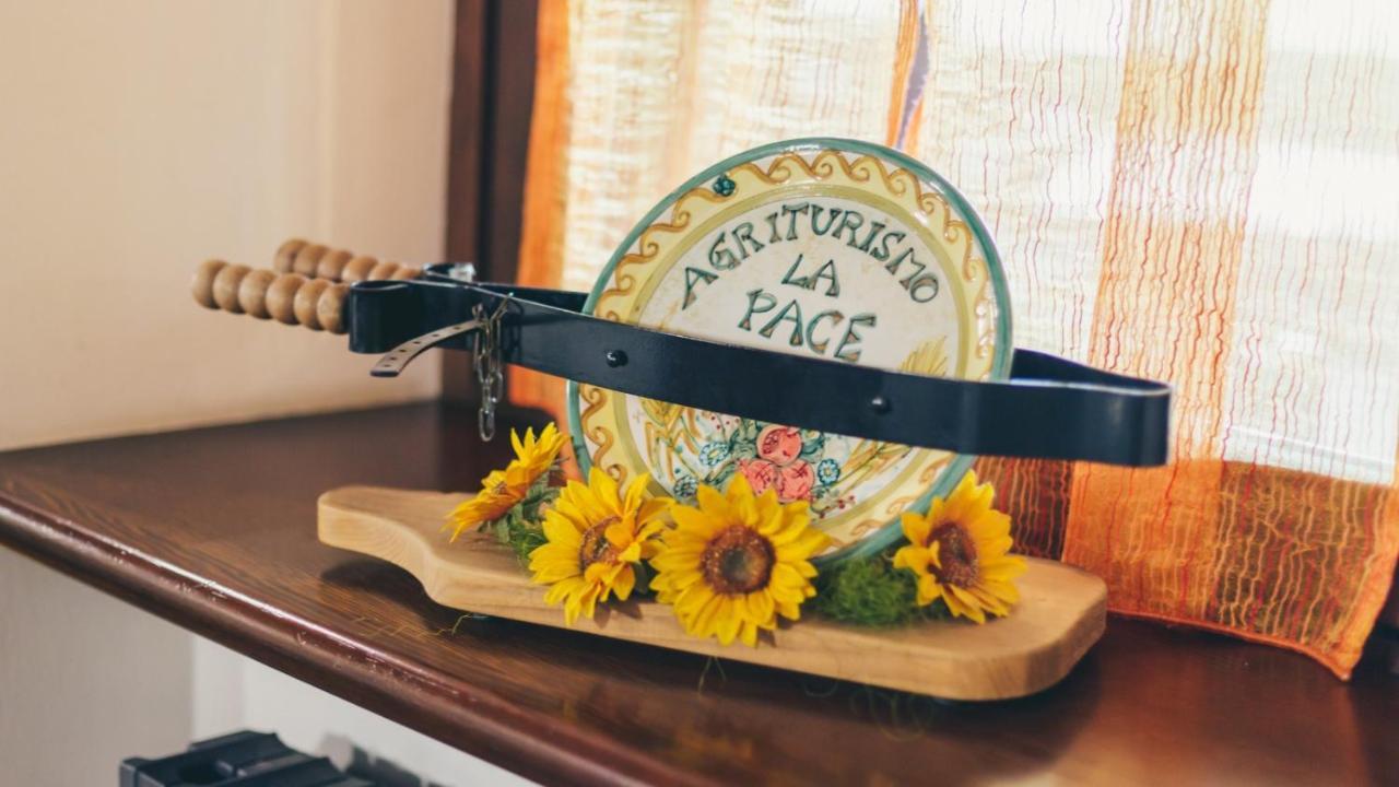 Agriturismo La Pace Villa Valeggio sul Mincio Kültér fotó